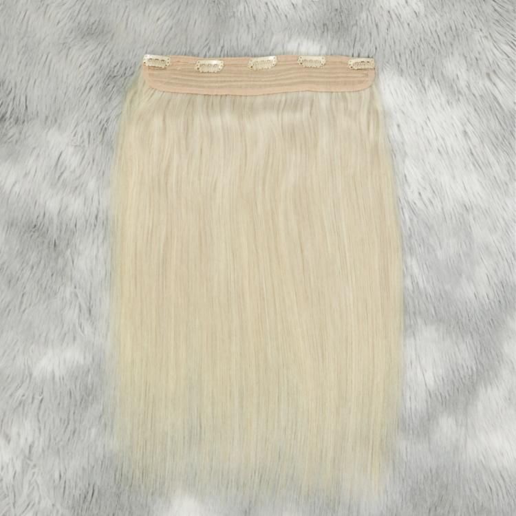 Wholesale Double Drawn Remy Virgin Human Hair Straight Halo Extension with Clip #60A