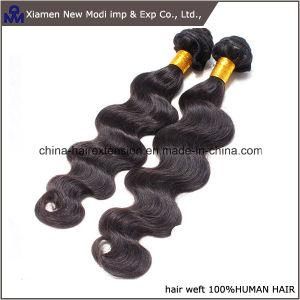 Body Wave Human Hair Indian Remy Hair