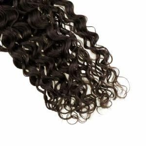 Natural Deep Wave Hair Tape in Hair Extensions