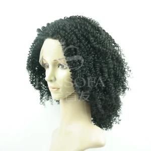 100% Human Hair Wig (Kinsofa 240313)