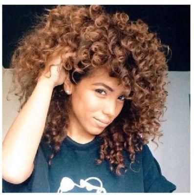 Synthetic Heat Resistant Fiber Ombre Brown Color Hair Wig Afro Curly Wigs for Black Women