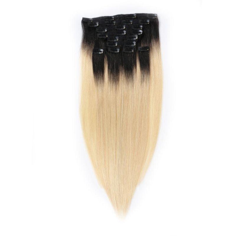 Hot Sale Wholesale Price 1A Quality Indian Virgin Remy Straight Thick Full Head Clip in Hair Extension