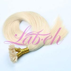 Remy Hair Brazilian Silky Straight 100g/Set U-Tip Human Hair Extension