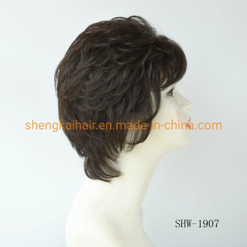 High Quality Fashion Handtied Synthetic Hair Women Hair Wigs