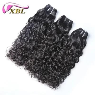 Factory Wholesale New Arrivals Fast Shipment Water Wave Virgin Hair