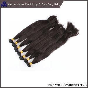 Straight Hair Weave Double Drawn Human Hair