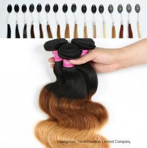 7A Unprocessed Indian Hair Weft 20&quot; Ombre Hair