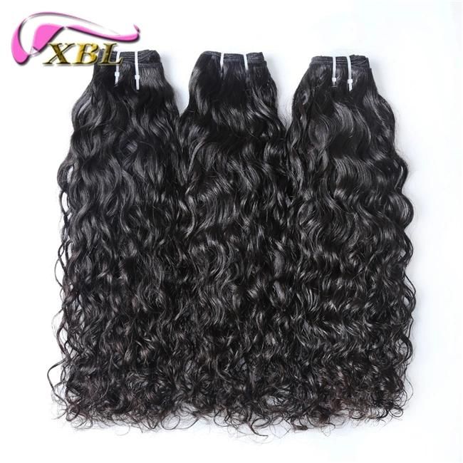 Factory Wholesale New Arrivals Fast Shipment Water Wave Virgin Hair