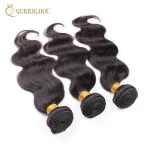 Cuticle Aligned Brazilian Vendors Raw Virgin Mink Hair Extensions