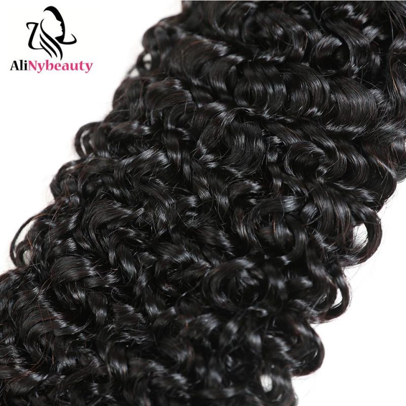 Hot Selling Brazilian Jerry Curly Hair Bundles with Closure