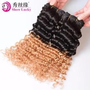 Factory Gurantee 100 Indian Ombre Deep Curly Wave 1b/27 Color Full Cuticle Virgin Human Hair Weaving India