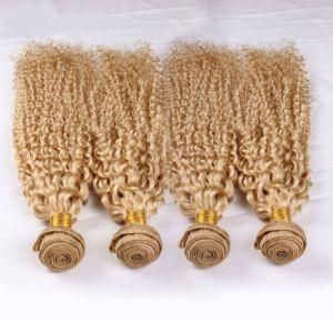 Double Drawn Brazilian 10A Virgin Unprocessed Hair Weaving