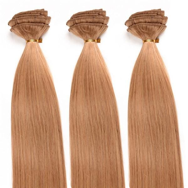 Xuchang Beautyhair Hot Selling Grade 8A Clip in Hair Extension