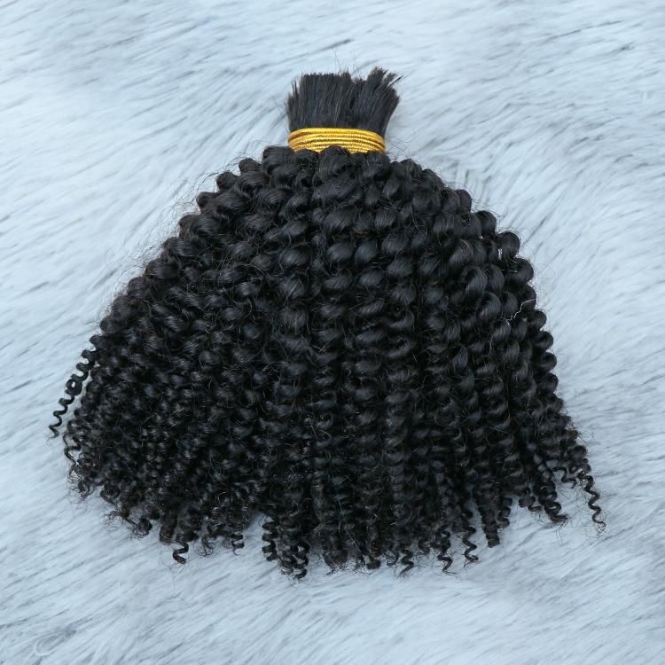 Wholesale Bulk Virgin Hair Raw Indian Human Hair Afro Curly Hair Bulk