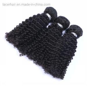 Kinky Curly Loose Wave Hair Natural Color Virgin 100% Hair Weft Human Hair