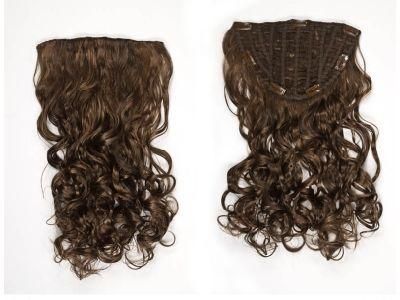 Clip in Hair Extension Virgin Hair Clip on Hair Extensions (AV-HW00-18)