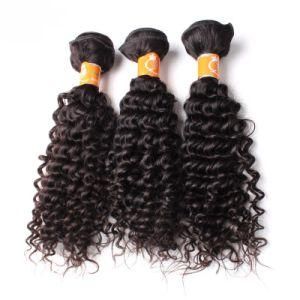 Kinky Curly Malaysian Virgin Hair Extension Human Hair Vendors