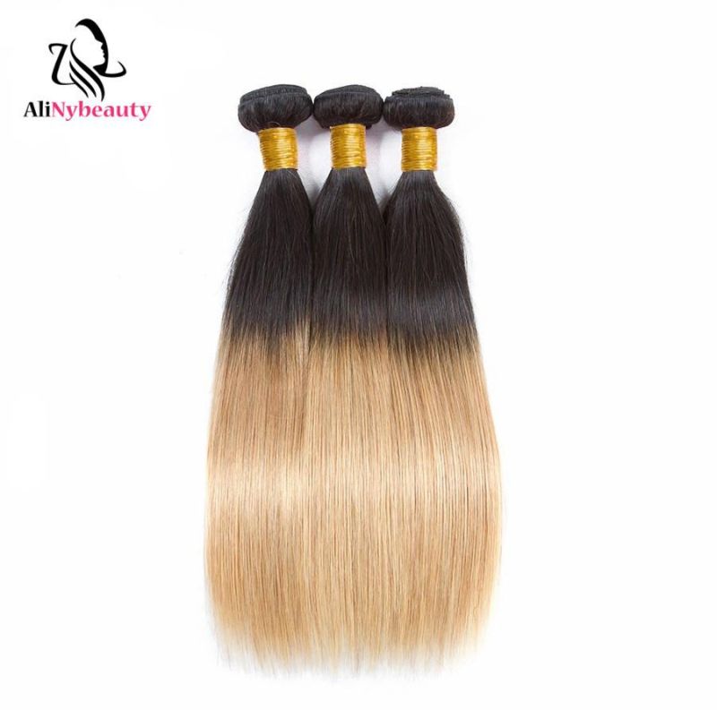 Alinybeauty 100% Remy Indian Human Hair 1b/27 Ombre Hair