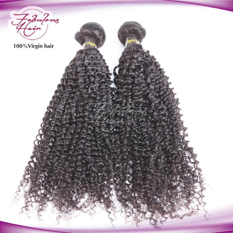 8A Afro Kinky Curly Brazilian Hair Extension Hair