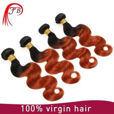 Mongolian 8A Grade Hair Omber Body Wave Virgin Hair