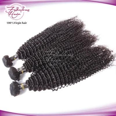 12A Best Unprocessed Kinky Curly Indian Virgin Hair Bundles