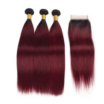 Ombre Straight Hair Bundles with Lace Closure 1b/99j