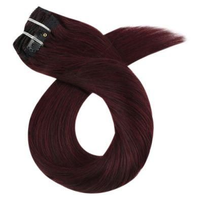 Clip in Hair Extensions 10-24 Inch Machine Remy Human Hair Brazilian Doule Weft Full Head Set Straight 7PCS 100g (10Inch Color 99J)