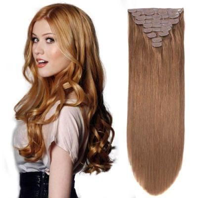 100% Human Hair Clip in Hair Extension