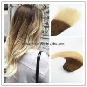 Wholesale Price Ombre Color #6#613 Best Selling Virgin Hair Straight Human Hair Clip in Hair Extension