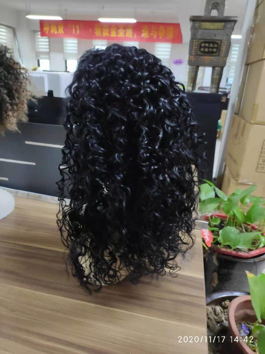 Natural Hair Brazilian Human Hair Wavy Lace Wigs