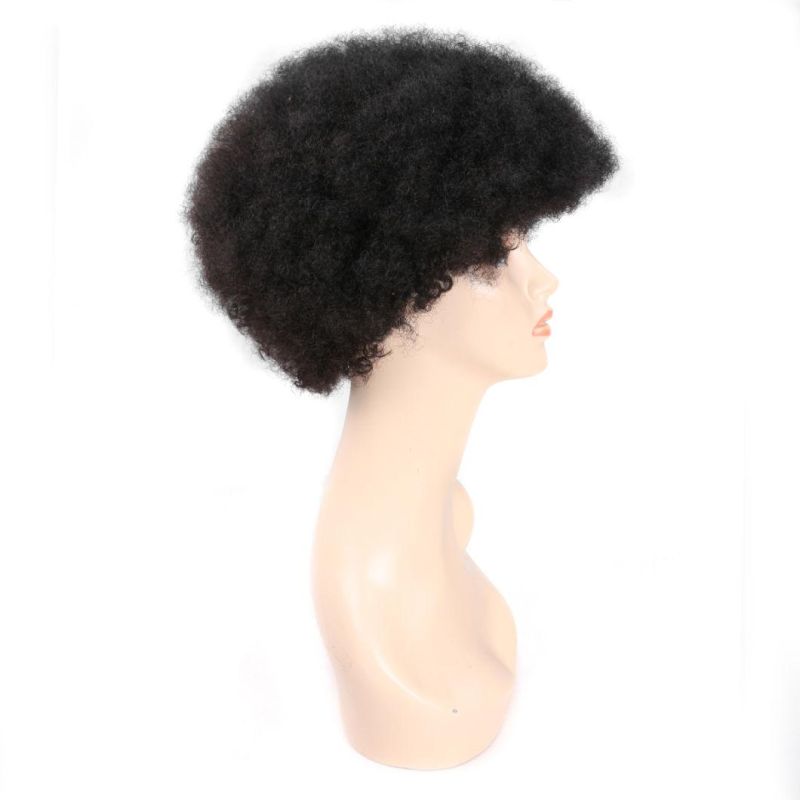Fashion Short Curly Hair Indian Remy Human Hair Wig