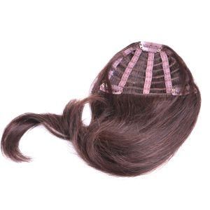 Stock More Different Colors Clip in Human Hair Bangs Fringe Hair Extensions