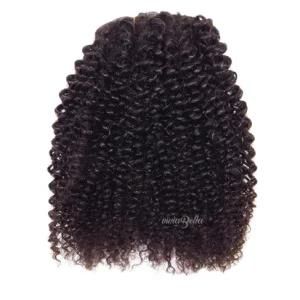 Afro Curly Kinky Curly 100% Human Clip-in Hair
