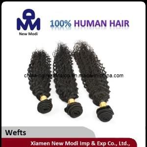 Hair Product Brazilian Hair Weave Remy Hair Extension (pH0109)