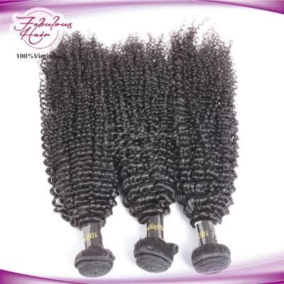 Attractive Natural Hair Weft Tangle Free Mongolian Kinky Curly Hair