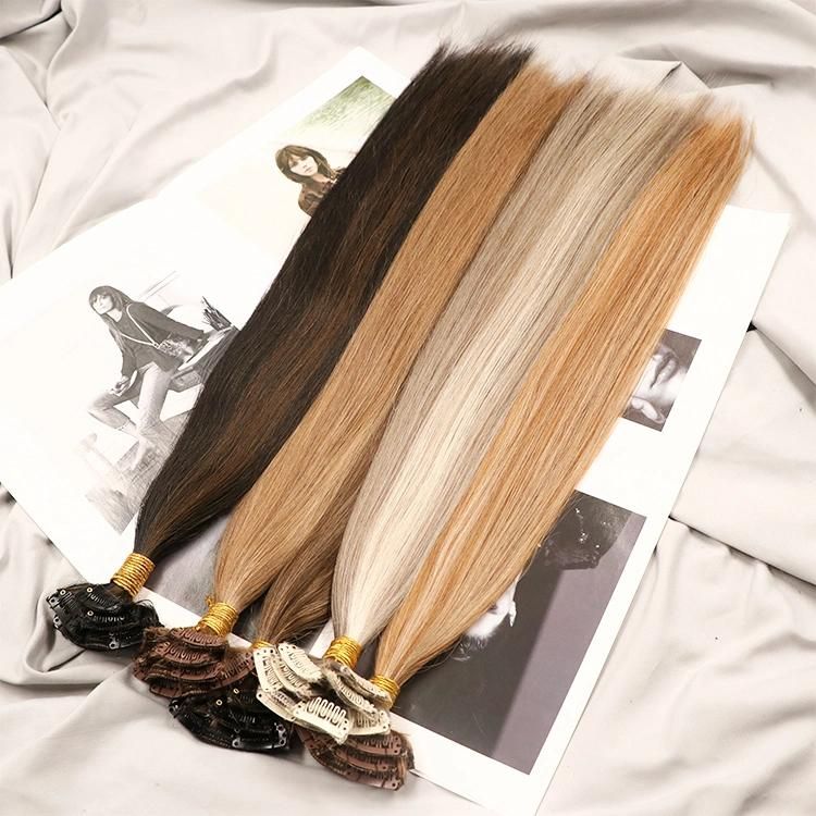 Raw Unprocessed Grade Brazilian Human Hair Seamless Clip in Hair Extension