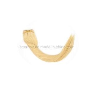 High Quality Virgin Clip Human Hair Supplier Brazilian Natural Remy Extension