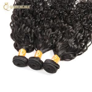 Double Drawn 100% Human Water Wave Natural Hair Extensions