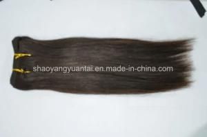 Grade 4A~8A High Quality Chinese/Brazilian Virgin Human Hair Weft (Weaving) Extension
