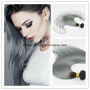 Human Hair Brazilian Straight Ombre 1b/Grey Hair Extension in Stock