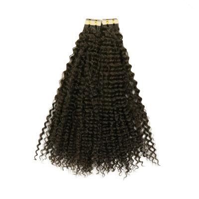 100% Human Hair Raw Cuticle Aligned Tape in Hair Extensions