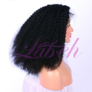 Cheap Price Afria Kinky Curly Wigs with Best Quality