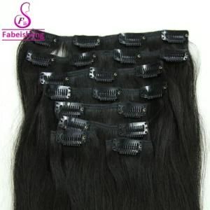 Fbs Hair Hot Sale High Quality Clip in Hair Extension Human Hair