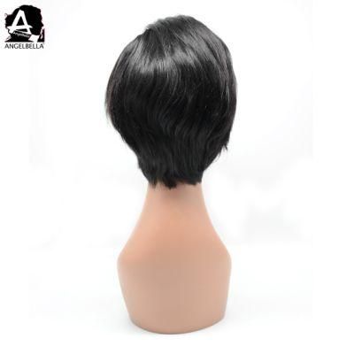 Angelbella Wigs Human Hair Brazilian Straight Lace Front Wigs