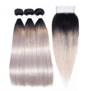 Ombre Hair Ot Silver Grey Brazilian Straight Hair Bundles with Closure
