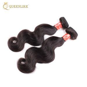 Raw Cuticle Aligned Virgin Indian Human Hair Extensions