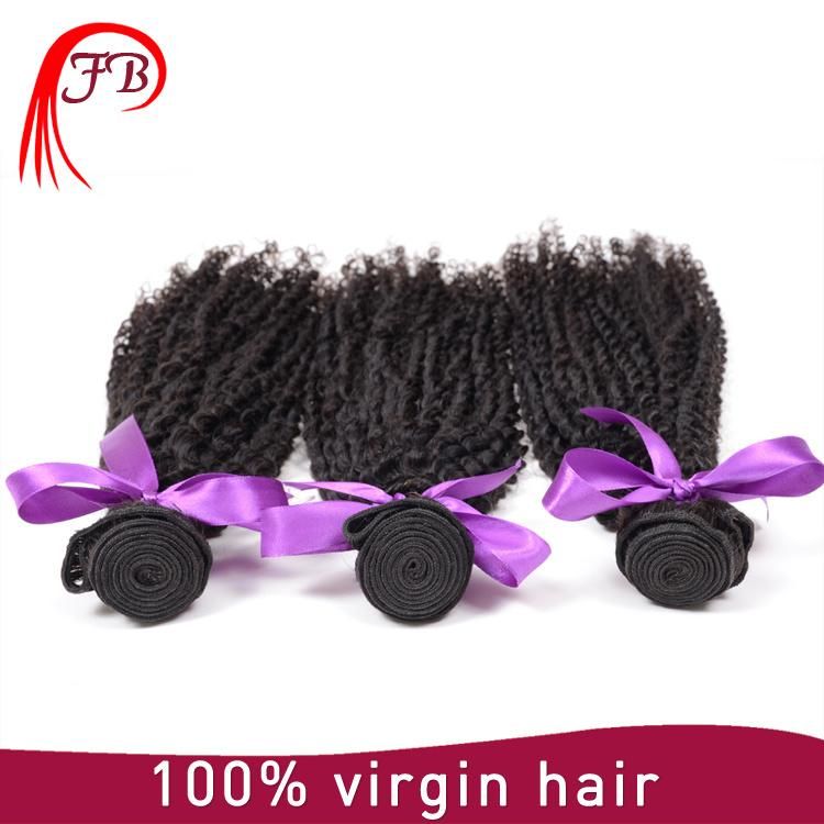 100% Virgin Remy Brazilian Kinky Curl Human Hair Weave