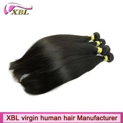 Xbl Brand Wholesale Indian Virgin Human Remy Hair