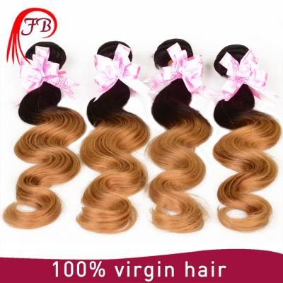 Barzilian New Top Product Human Ombre Body Wave Remy Hair
