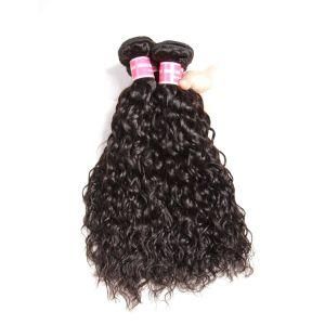 Pb Hair Brazilian Water Wave Bundles Hair Wave Weave